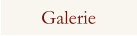 Galerie
